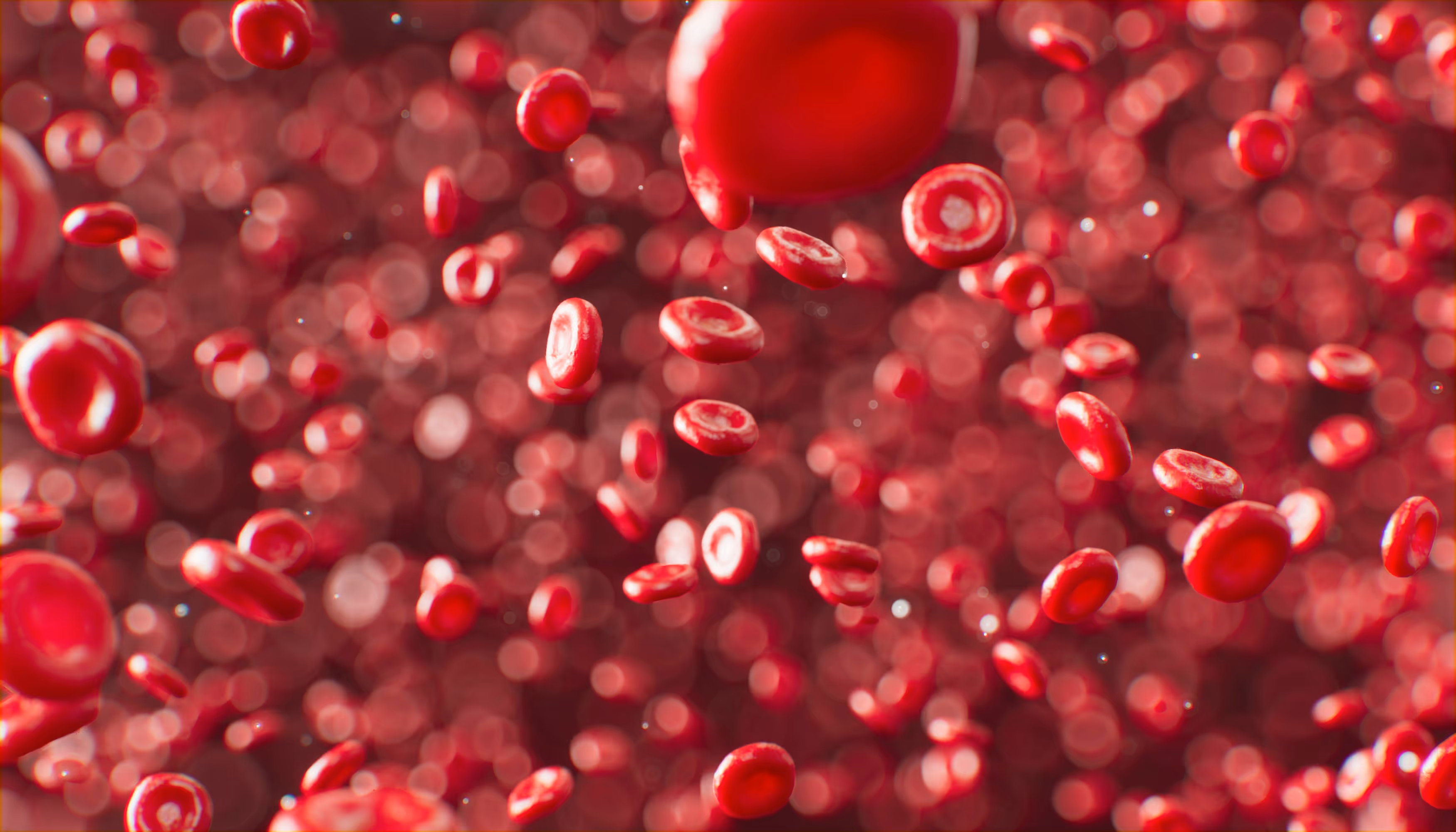 Close-up view of red blood cells in motion, representing sickle cell disease research and blood health awareness.