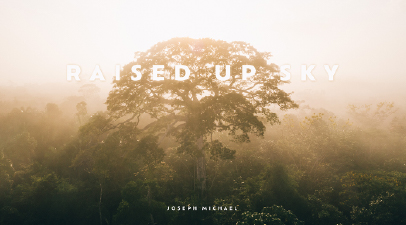 Tittle Raised Up Sky over an Amazon forest landscape