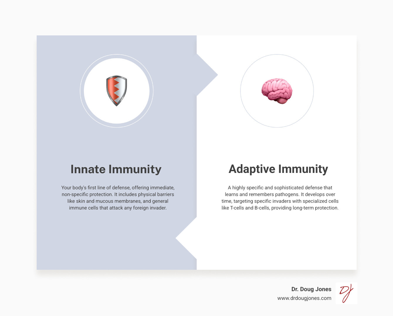 Detailed infographic showing the difference between innate and adaptive immune systems, including physical barriers like skin and mucous membranes for innate immunity, and specialized cells like T-cells and B-cells for adaptive immunity, with arrows showing how they work together to protect the body - Immune system strengthening infographic comparison-2-items-formal Detailed infographic showing the difference between innate and adaptive immune systems, including physical barriers like skin and mucous membranes for innate immunity, and specialized cells like T-cells and B-cells for adaptive immunity, with arrows showing how they work together to protect the body - Immune system strengthening infographic comparison-2-items-formal