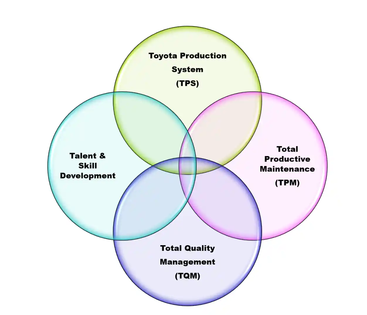 Toyota Production System Integration