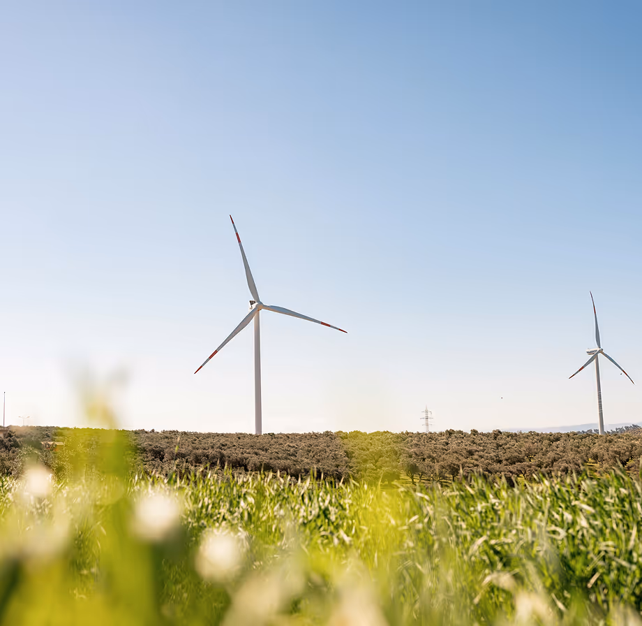 Two wind turbines standing in a green field with trees under a clear blue sky.
