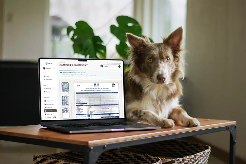Brown and white dog lying on a wooden table next to an open laptop displaying a financial document.