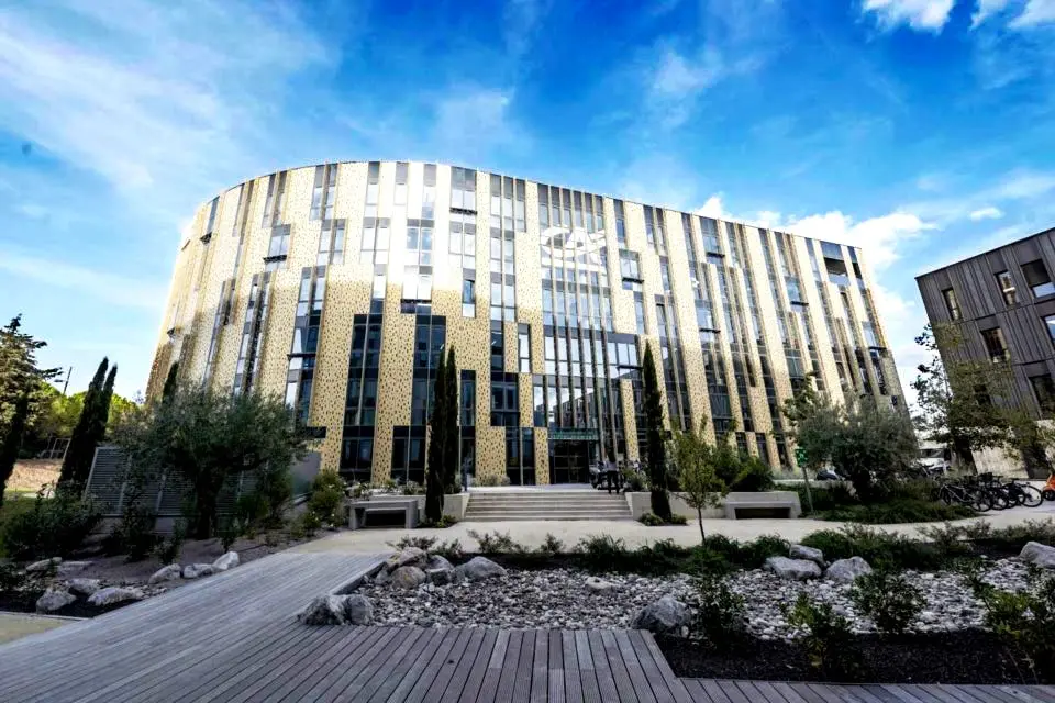 Curved modern building with gold and black vertical panels under a blue sky with few clouds, surrounded by trees and a wooden pathway.