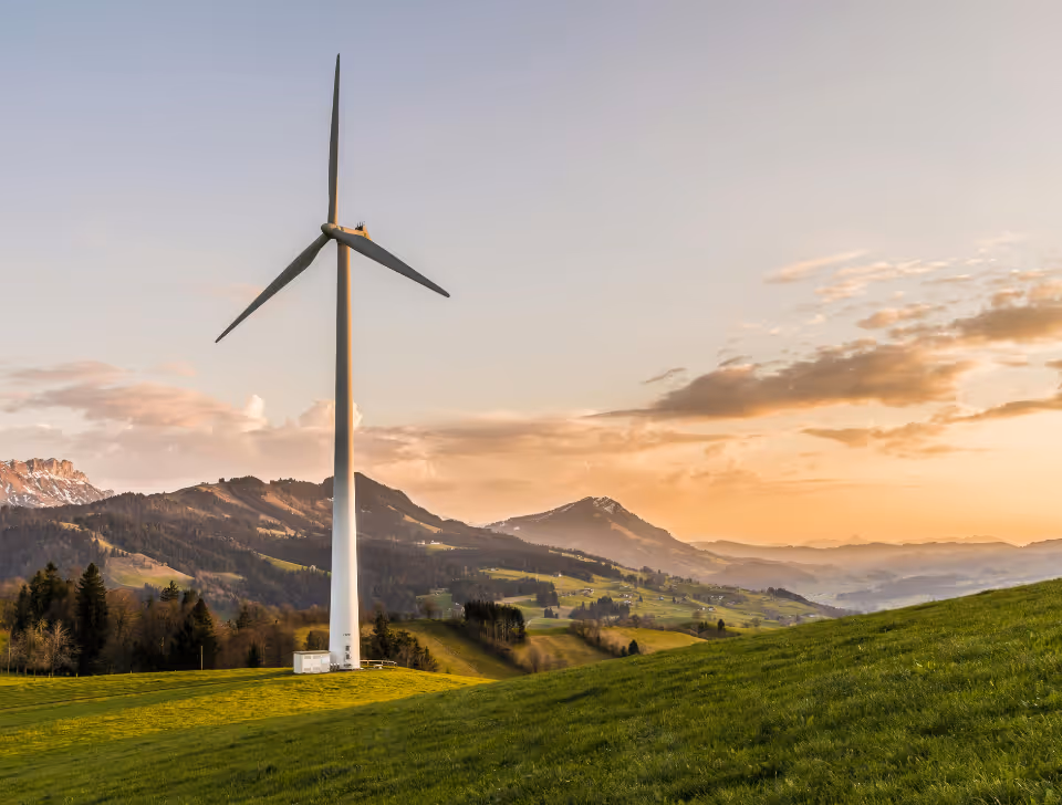 Group of people standing on grass field looking up at the base of a large wind turbine with clear blue sky.