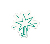 Abstract teal star shape with a stylized base that resembles a tree or plant stem on a white background.