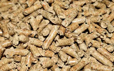 Damblain BioPellet
