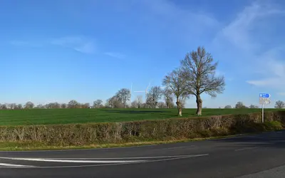 Auzelon
