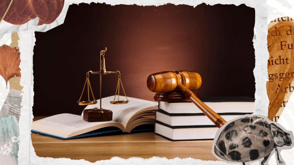 A judge's gavel and scales of justice placed on open books, with a brown gradient background.