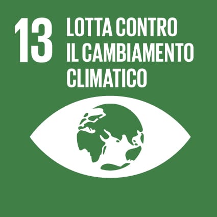 SDG 13 LOTTA CONTRO IL CAMBIAMENTO CLIMATICO