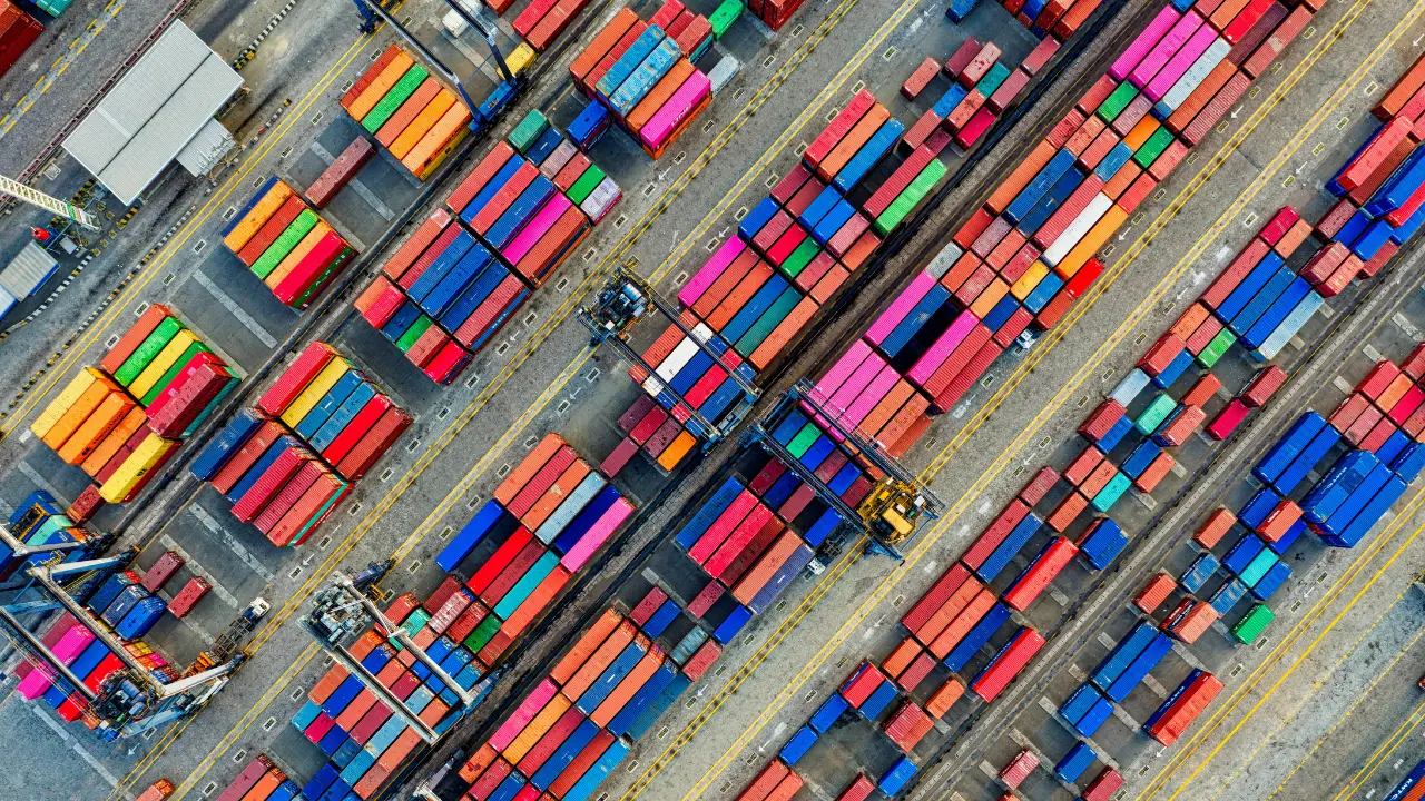 Understanding EUDR Penalties: 10 Business Implications of Non-Compliance