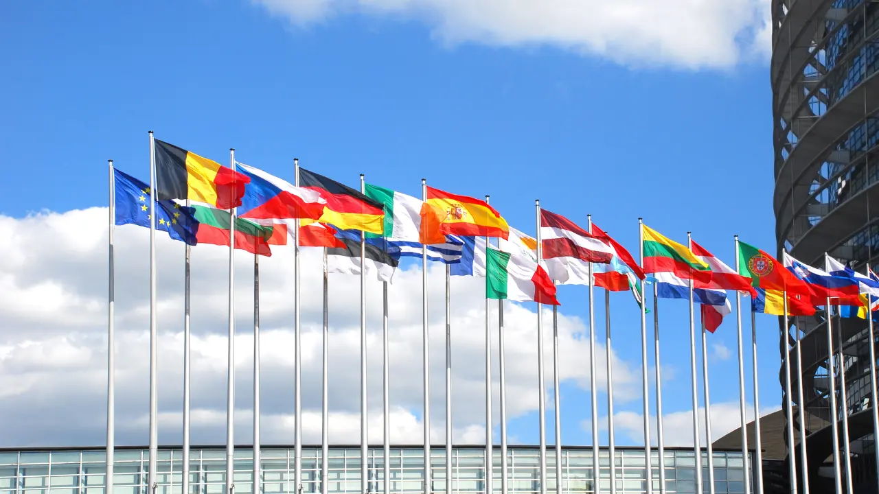 EUDR Competent Authorities - Updated List October 2024