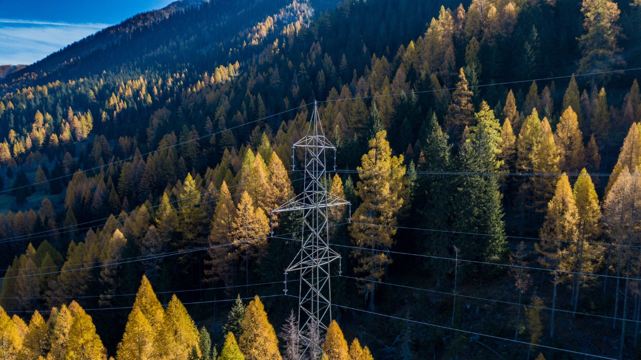 Ecological Corridor Management: The Path Forward for Energy and Biodiversity