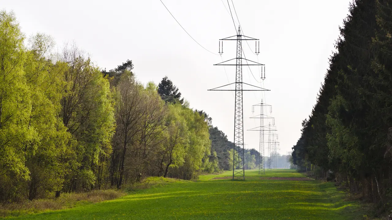 Guide to Ecological Corridor Management for Utilities