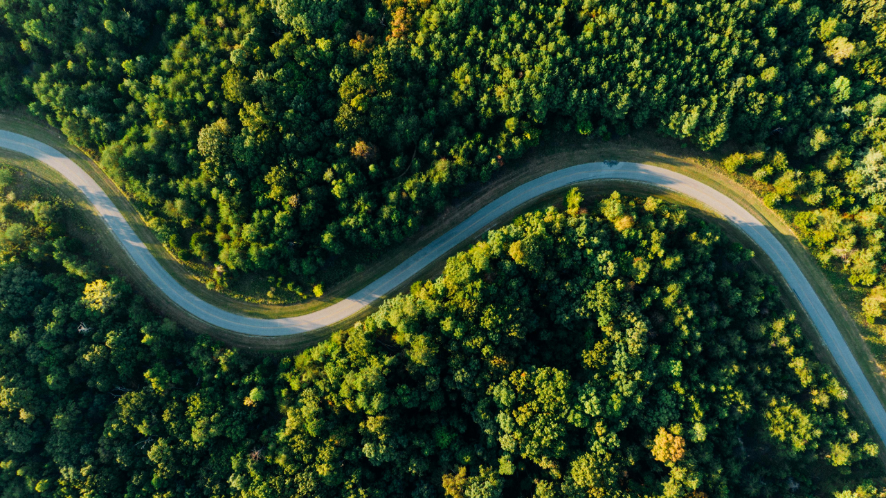 How to Comply with EUDR Requirements Using Your Existing Supply Chain Systems
