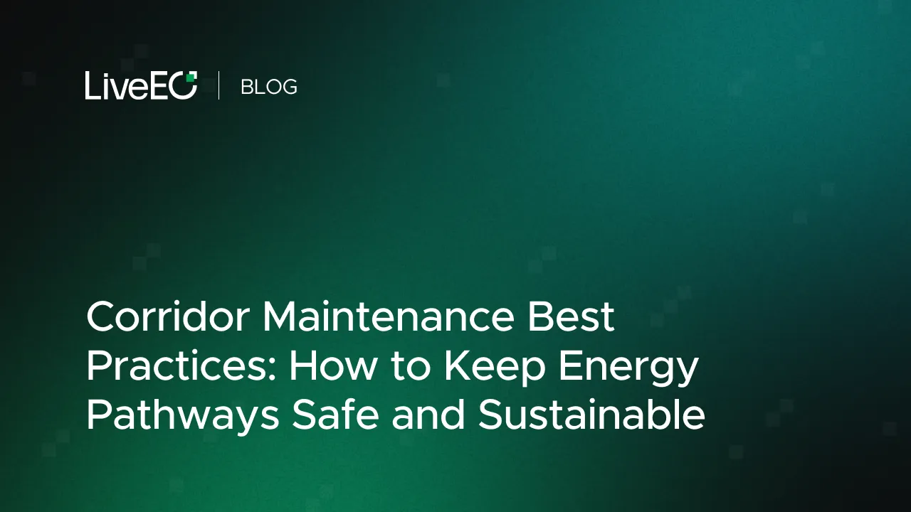 Corridor Maintenance Best Practices: How to Keep Energy Pathways Safe and Sustainable