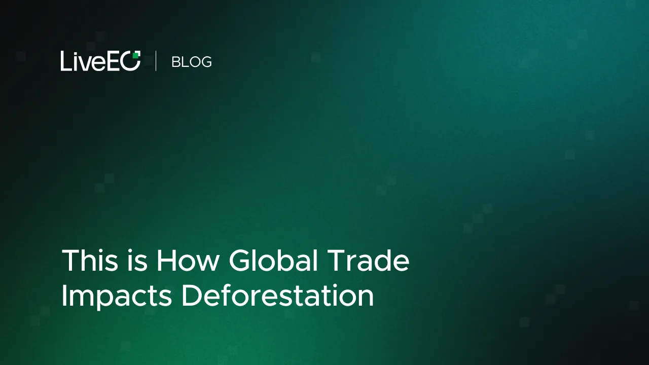 This is How Global Trade Impacts Deforestation
