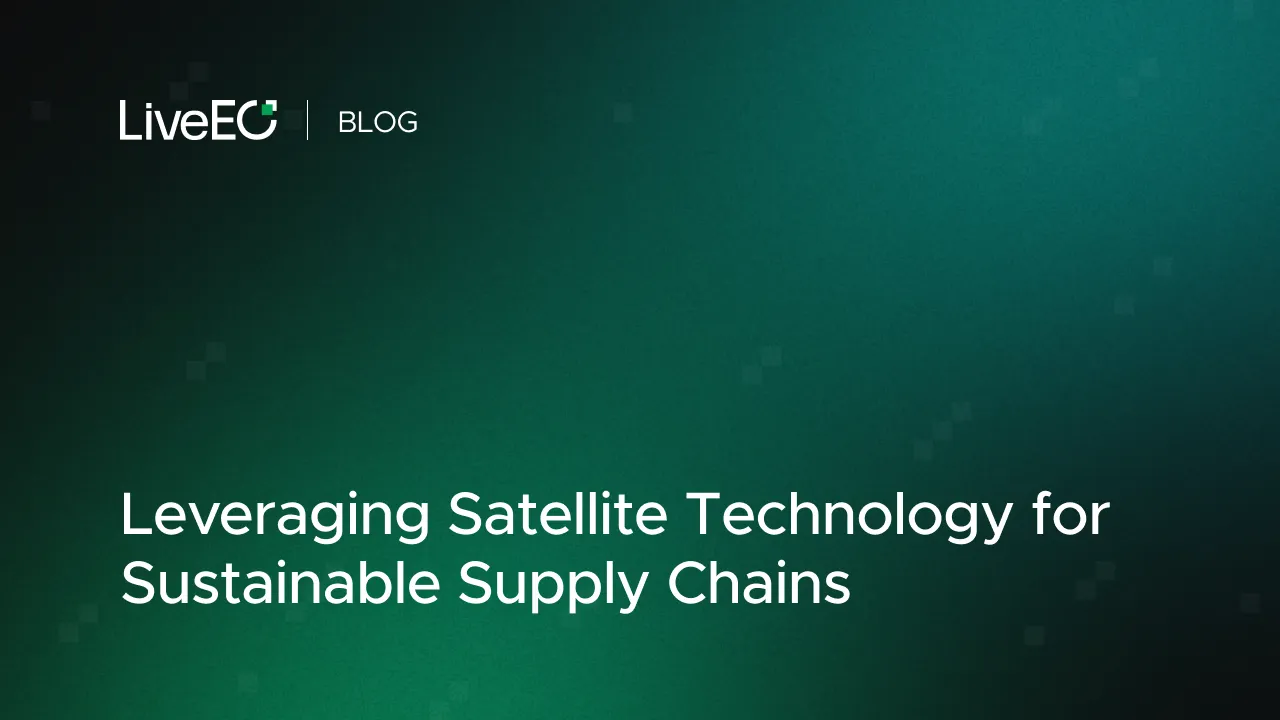 Leveraging Satellite Technology for Sustainable Supply Chains