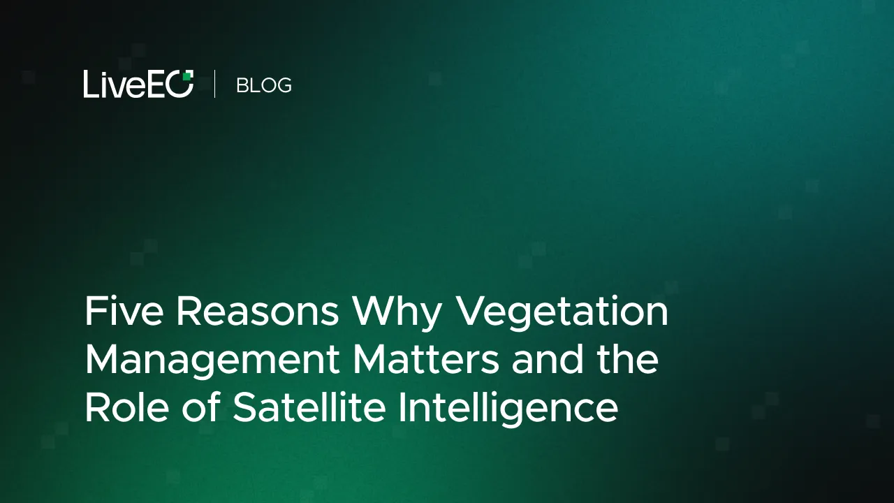 Five Reasons Why Vegetation Management Matters and the Role of Satellite Intelligence