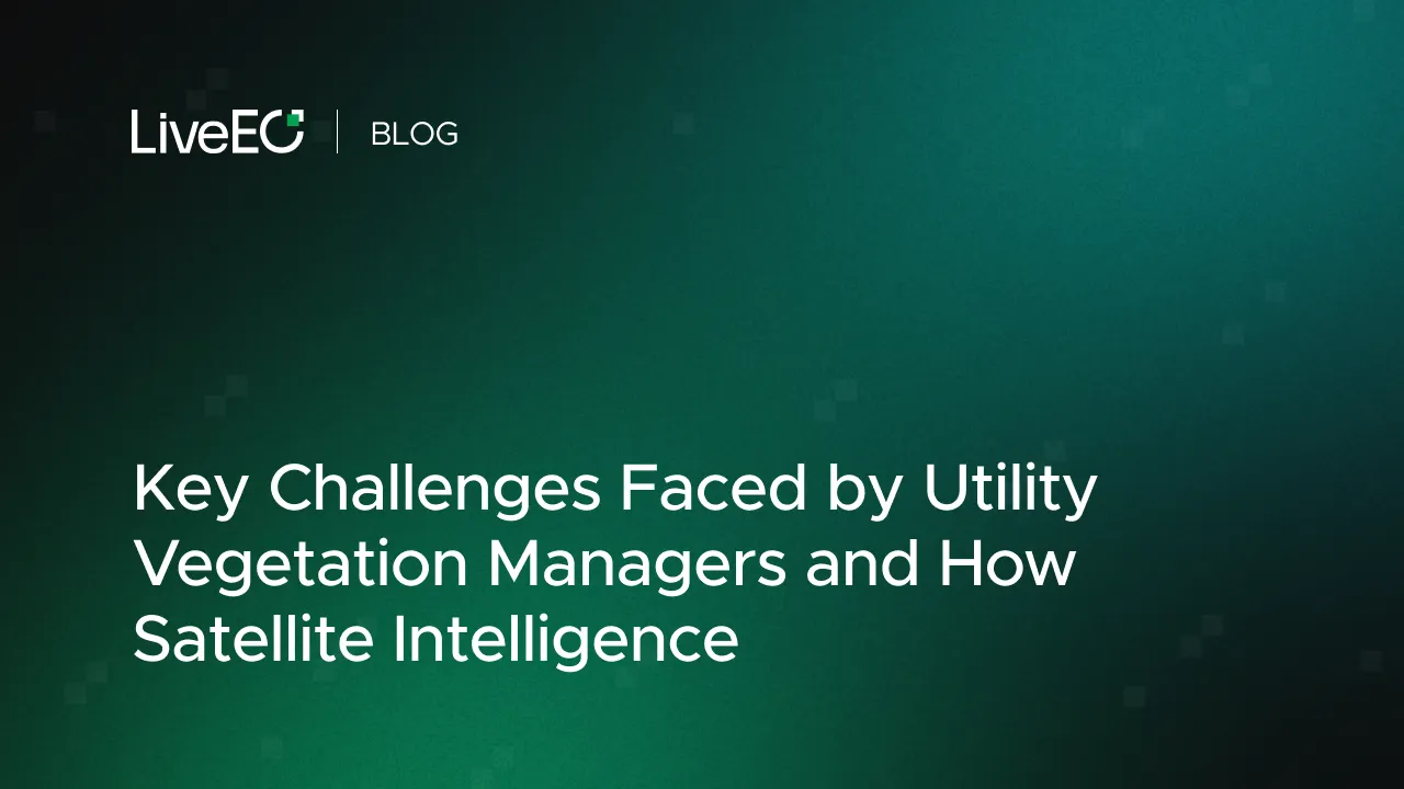 Key Challenges Faced by Utility Vegetation Managers and How Satellite Intelligence Can Help