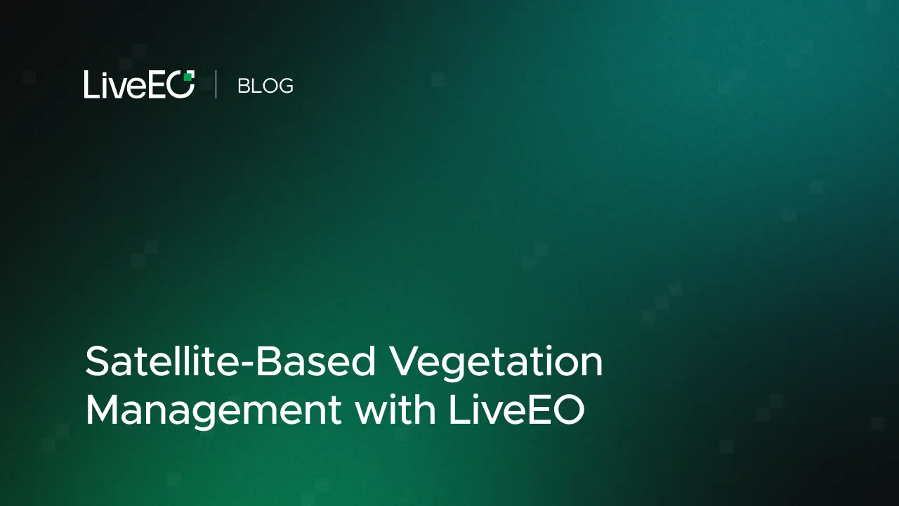 Satellite-Based Vegetation Management with LiveEO