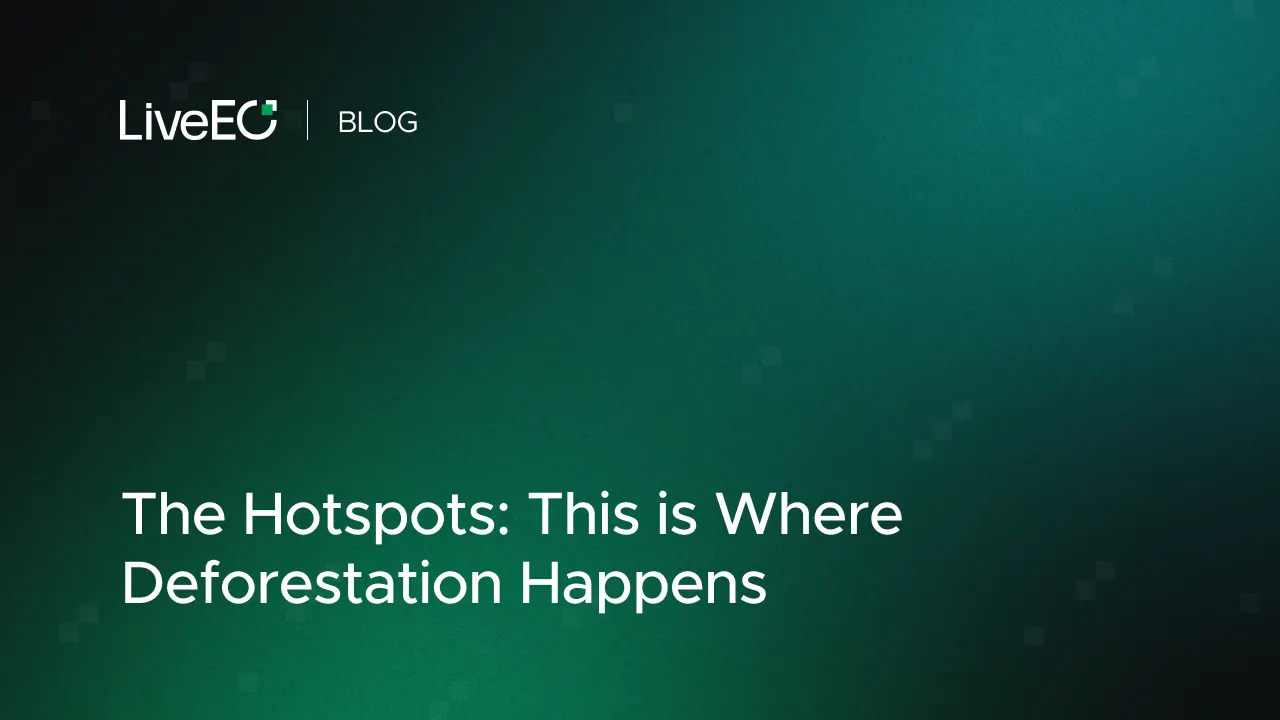The Hotspots: This is where deforestation happens