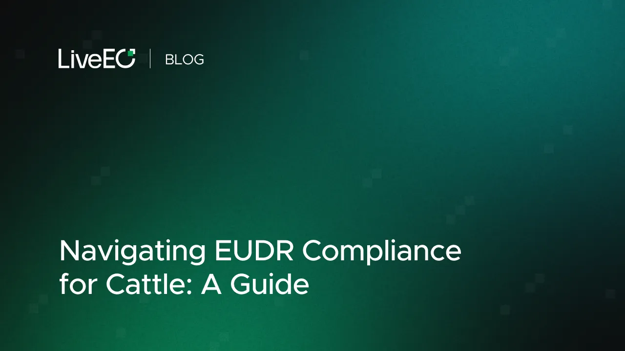 Navigating EUDR Compliance for Cattle: A Guide
