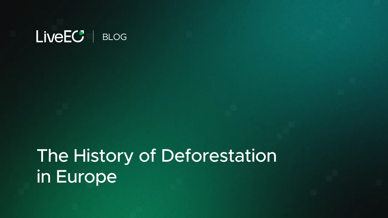 The History of Deforestation in Europe: Past Trends and Current Challenges