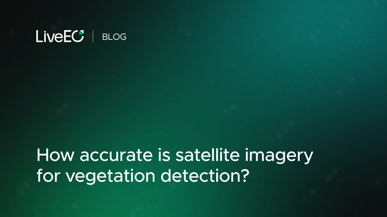How accurate is satellite imagery for vegetation detection?
