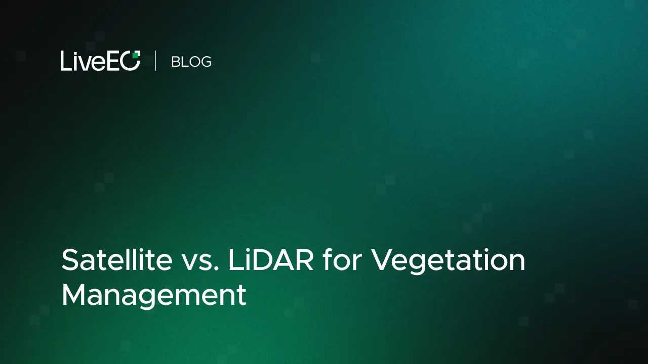 Satellite vs. LiDAR for Vegetation Management