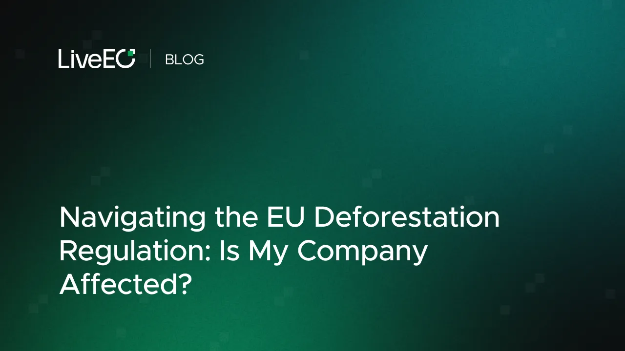 Navigating the EU Deforestation Regulation: Is My Company Affected?