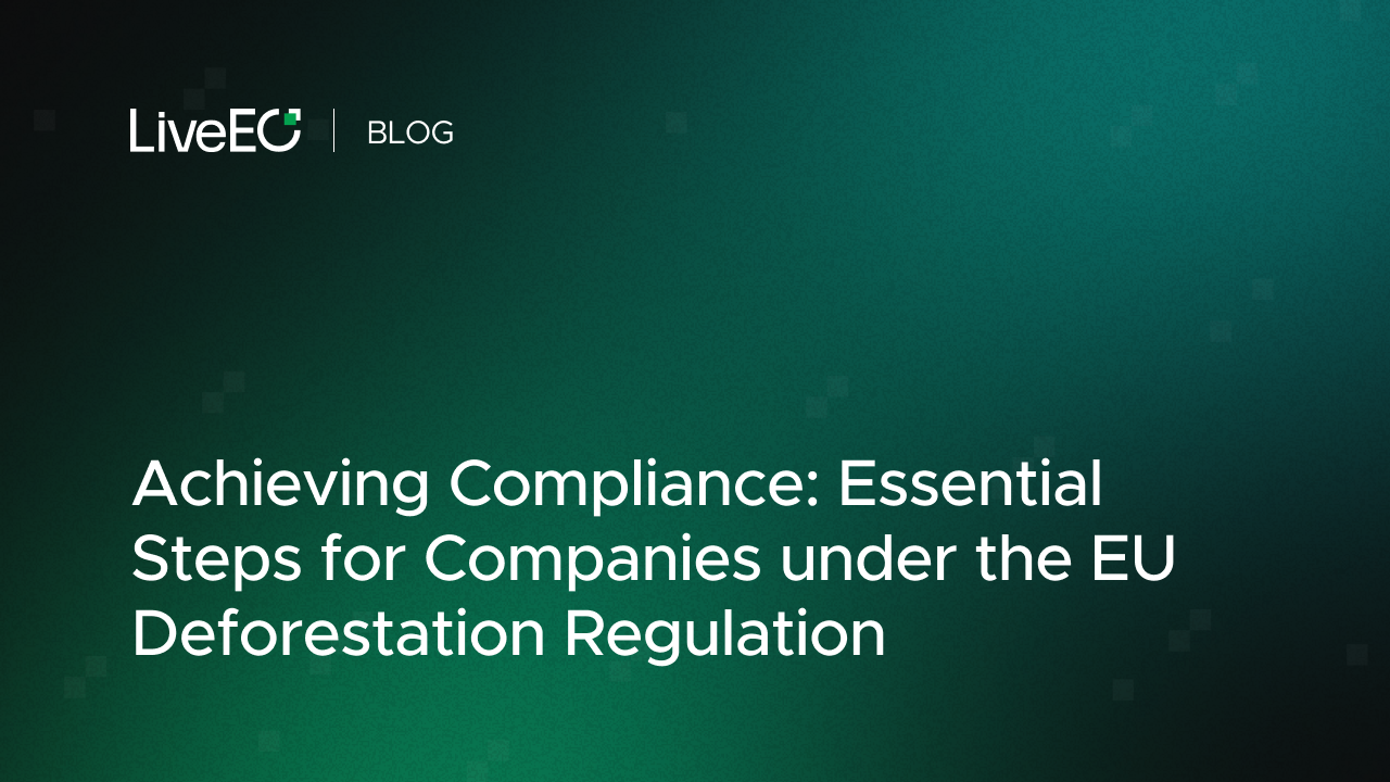 Achieving Compliance: Essential Steps for Companies under the EU Deforestation Regulation