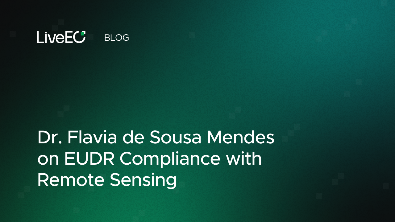 Dr. Flavia de Sousa Mendes on EU Deforestation Regulation Compliance with Remote Sensing
