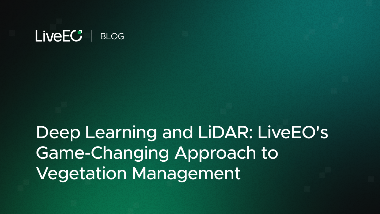 Deep Learning and LiDAR: LiveEO's Game-Changing Approach to Vegetation Management