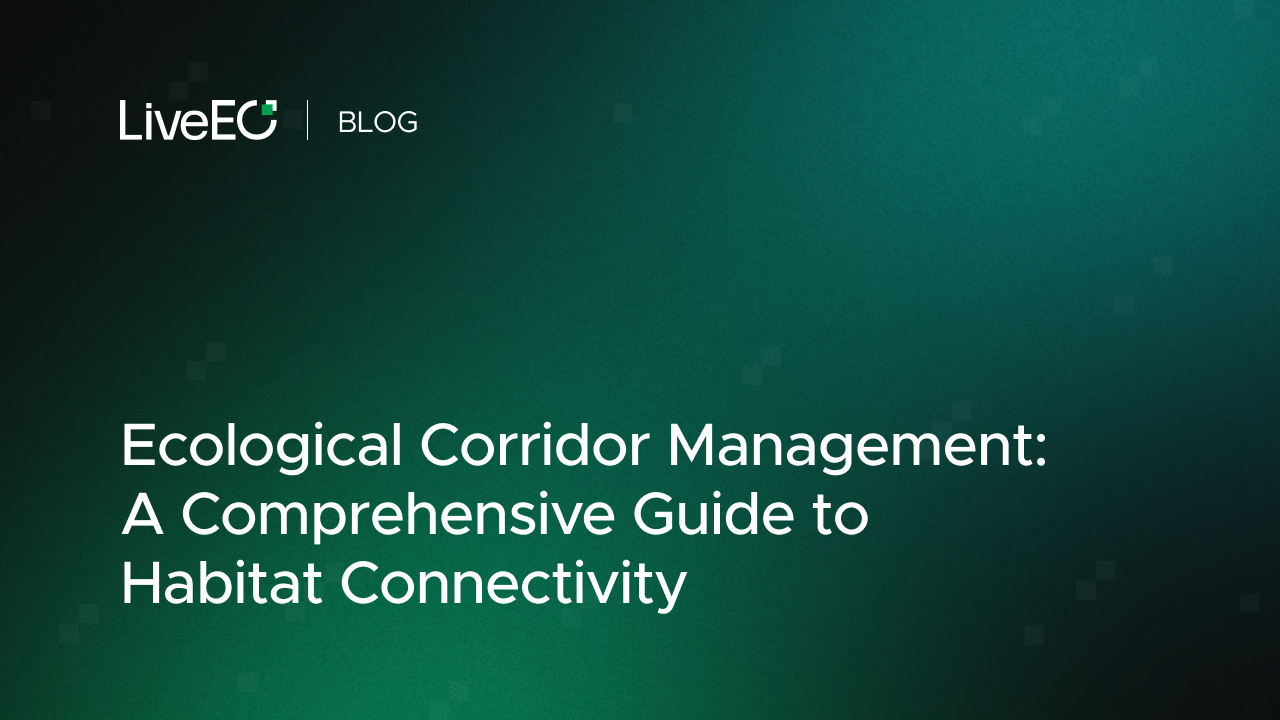 Ecological Corridor Management: A Comprehensive Guide to Habitat Connectivity
