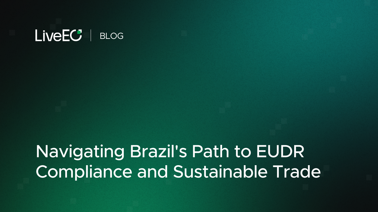Navigating Brazil's Path to EUDR Compliance and Sustainable Trade