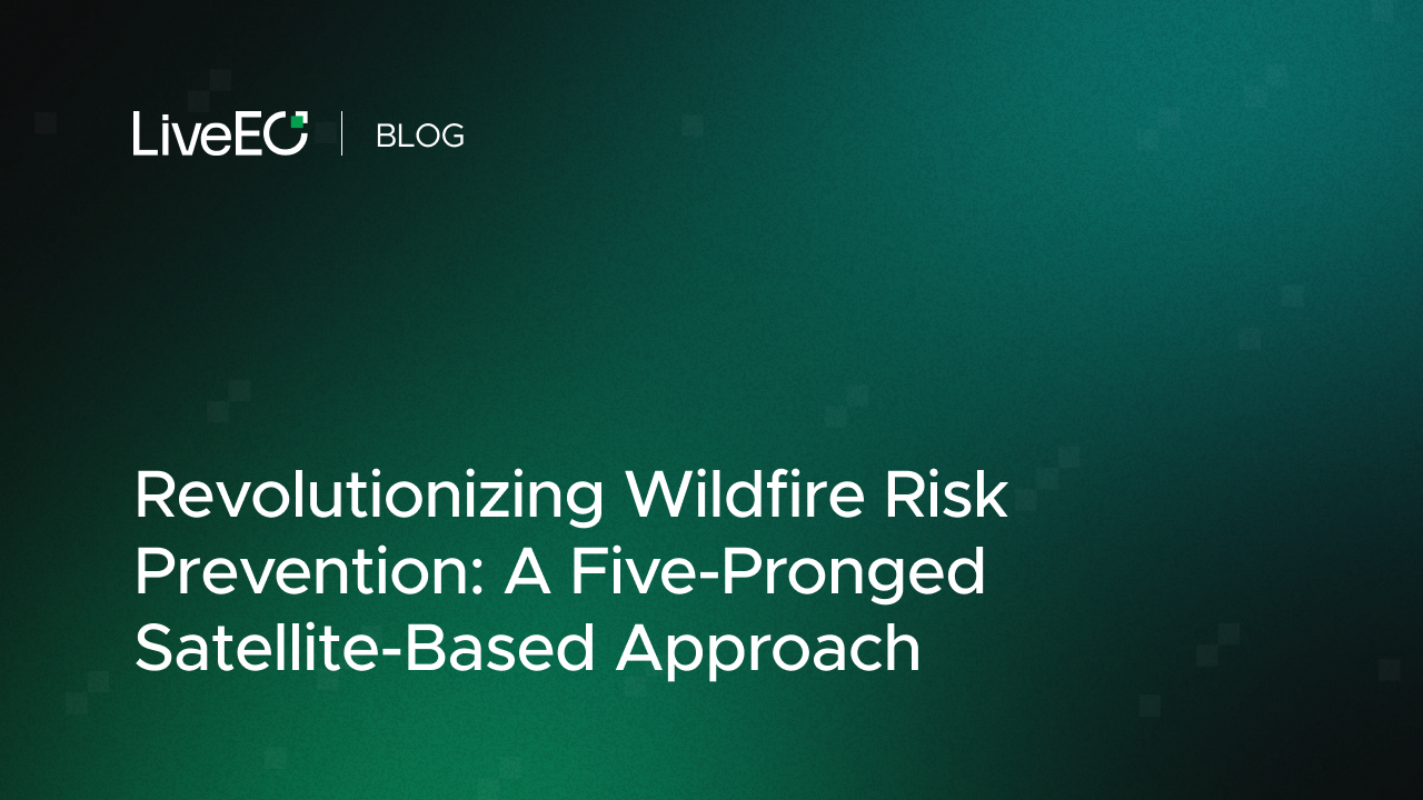 Revolutionizing Wildfire Risk Prevention: A Five-Pronged Satellite-Based Approach