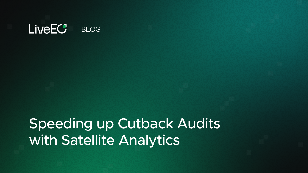 Speeding up Cutback Audits with Satellite Analytics