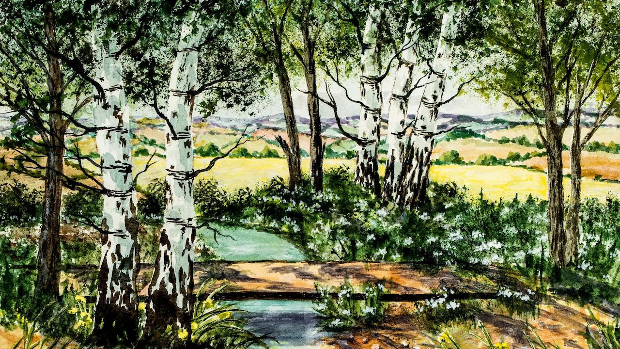 The History of Deforestation in Europe: Past Trends and Current Challenges