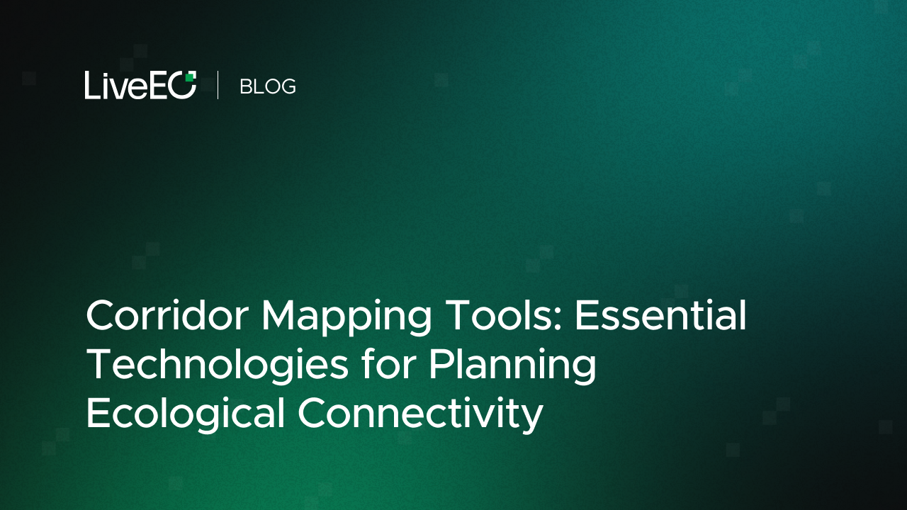 Corridor Mapping Tools: Essential Technologies for Planning Ecological Connectivity