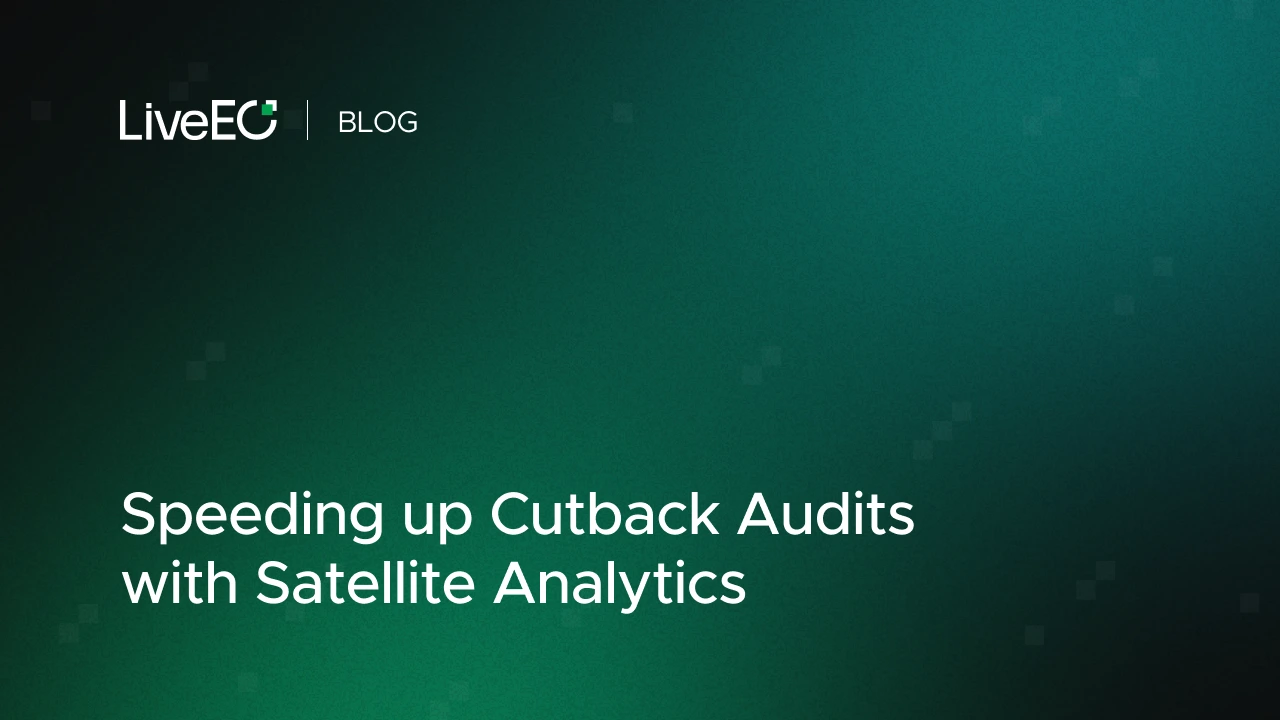 Speeding up Cutback Audits with Satellite Analytics