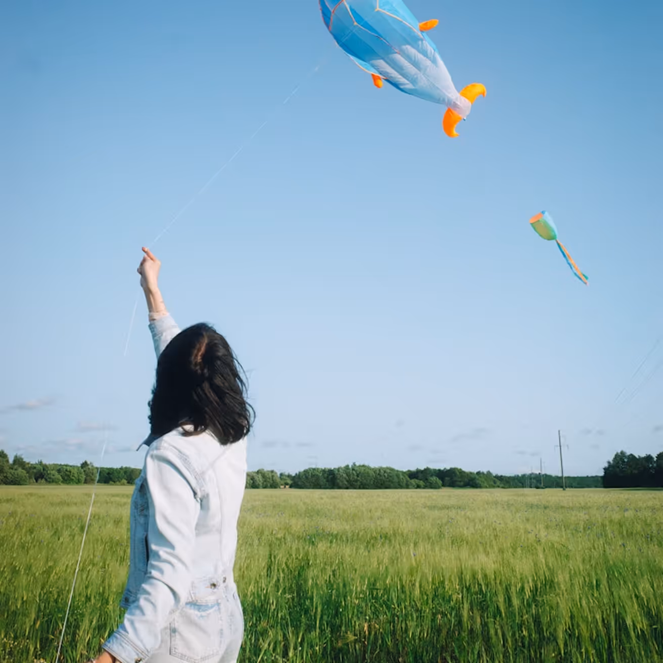 Person in a denim jacket flying a blue whale-shaped kite in a green field under a clear sky.