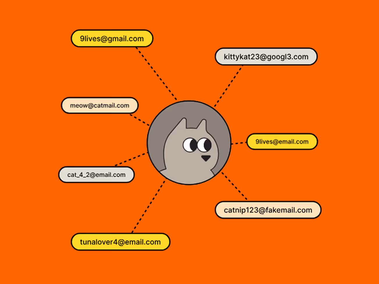 Illustration of a cat in a circle connected by dotted lines to six email addresses on an orange background.