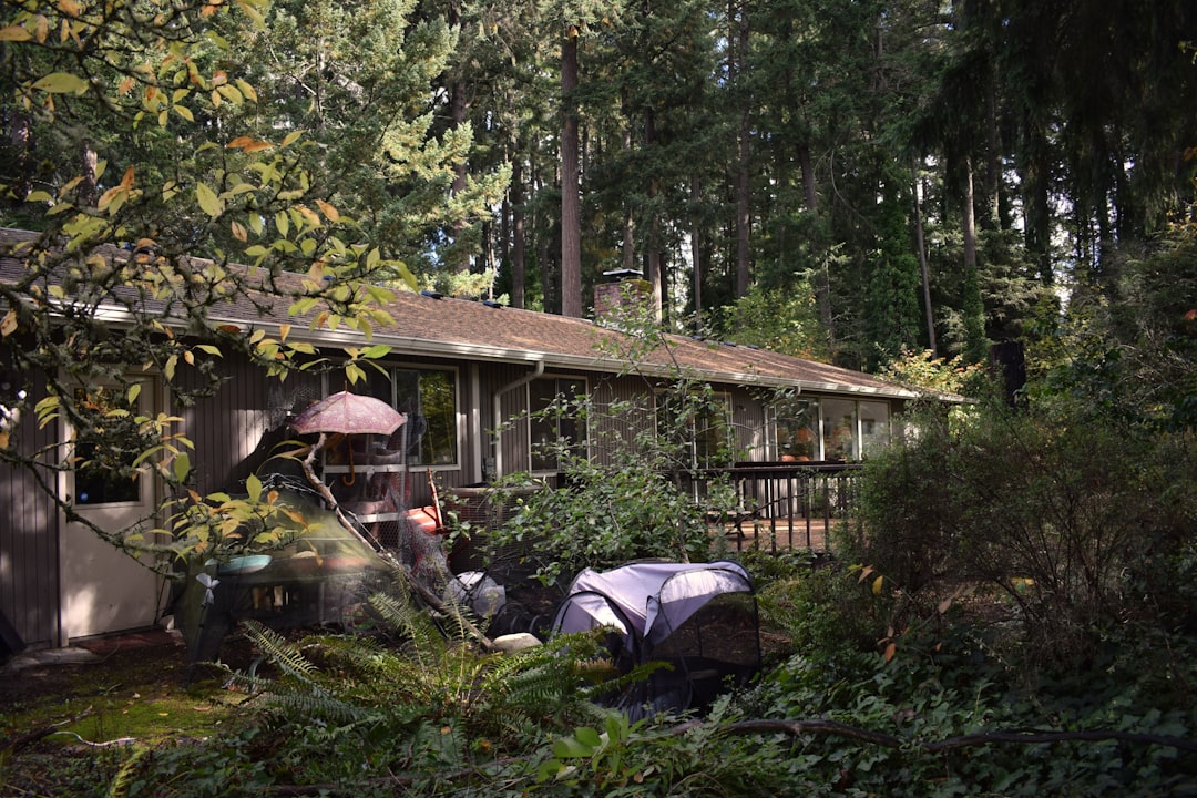 Graham, WA: Keeping Your Home's Heat Pump Happy