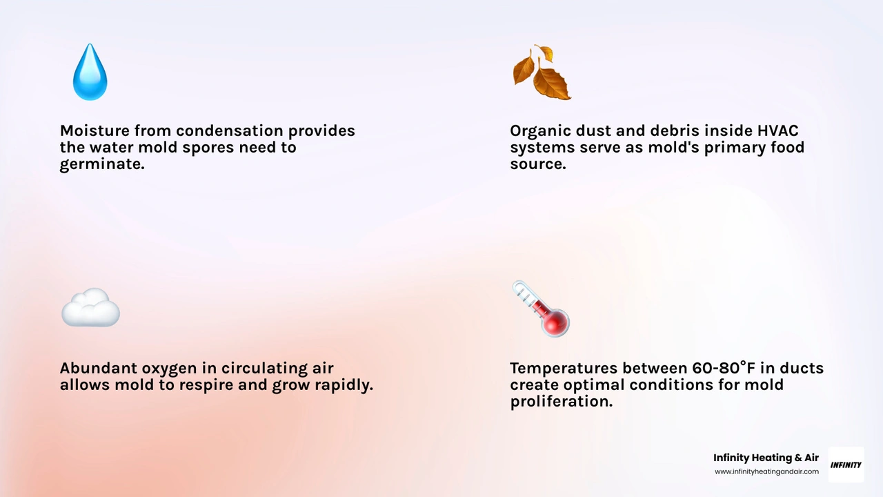 Infographic showing four requirements for mold growth in HVAC systems: moisture, organic food (dust), oxygen, and Infographic showing four requirements for mold growth in HVAC systems: moisture, organic food (dust), oxygen, and