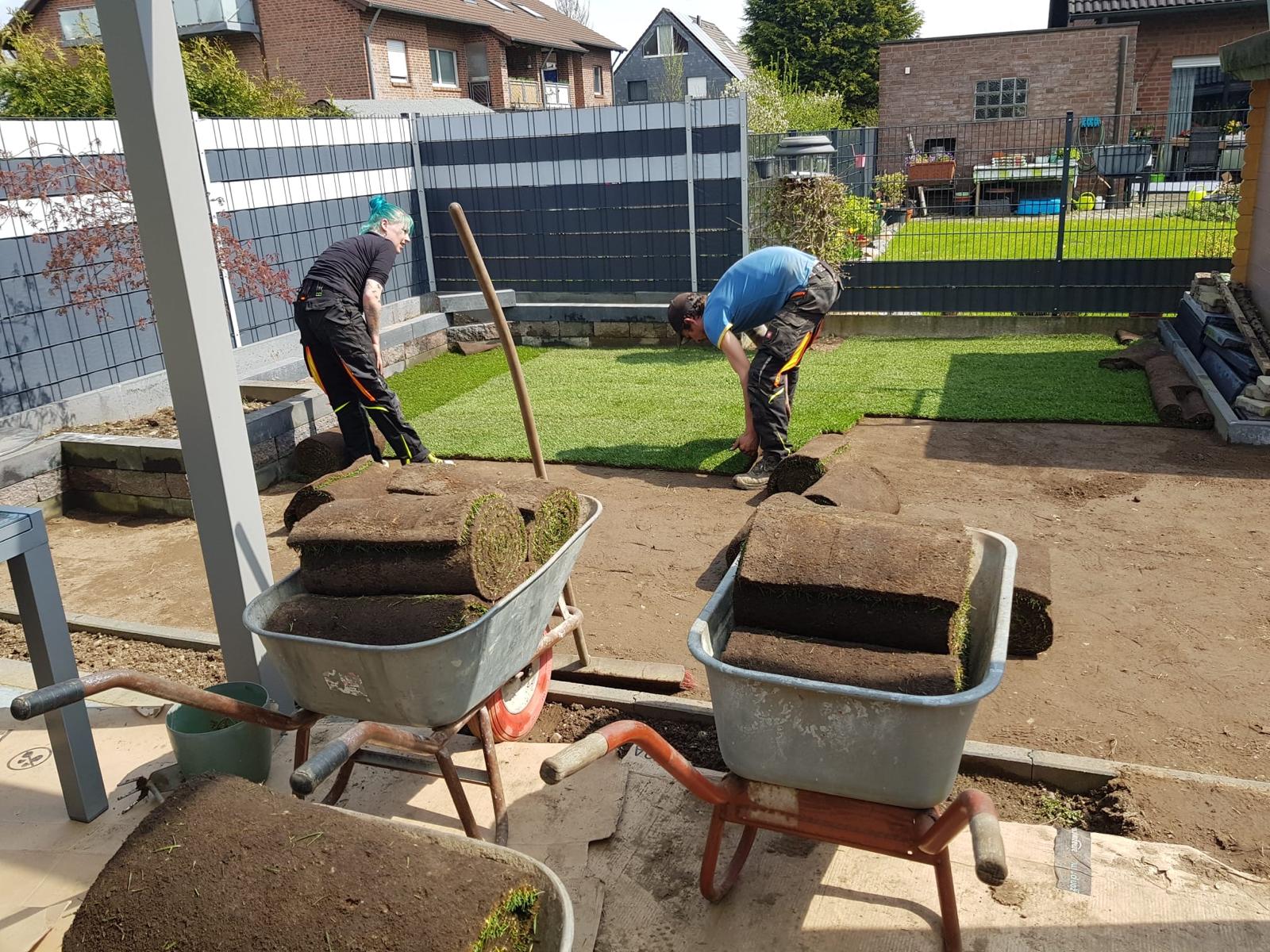 Rollrasenverlegung im Garten