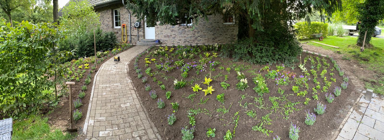 Gartengestaltung mit vielen Pflanzen