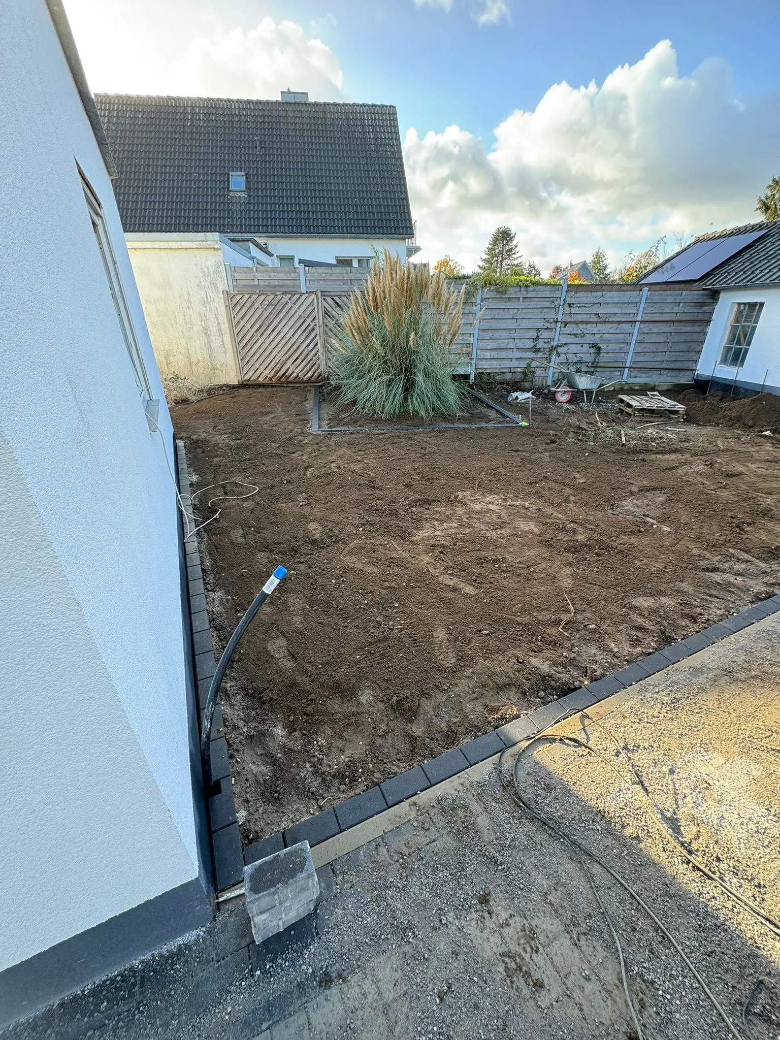 Gartenneugestaltung mit Pampasgras