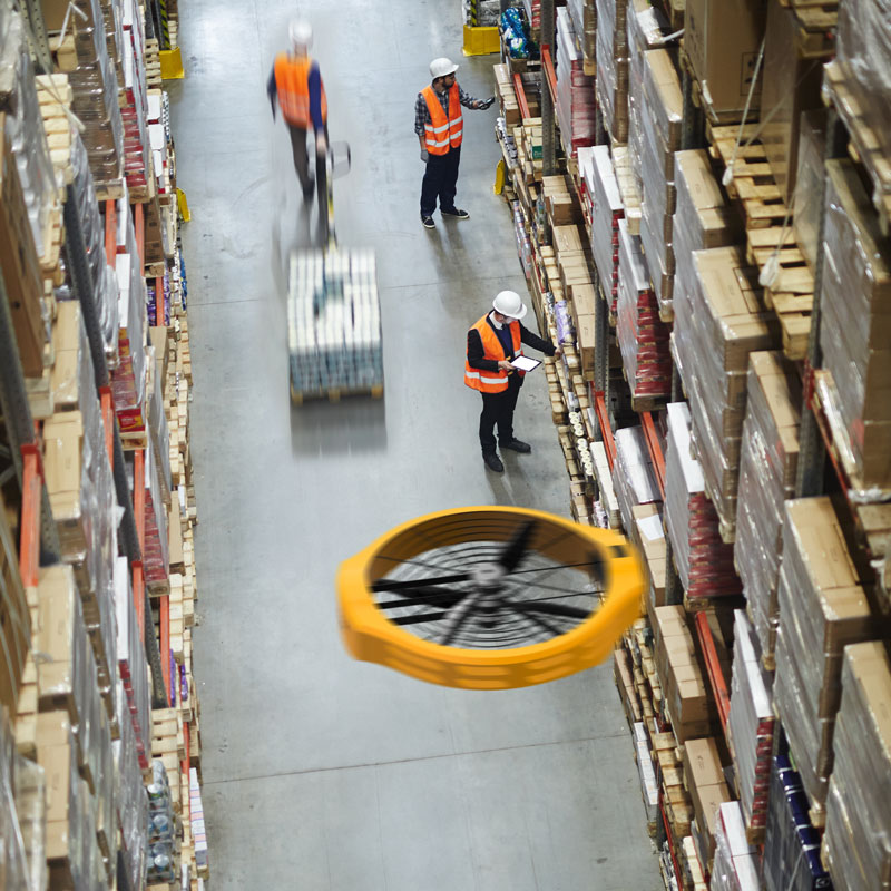 Autonomous Robot Drones for Inventory Management