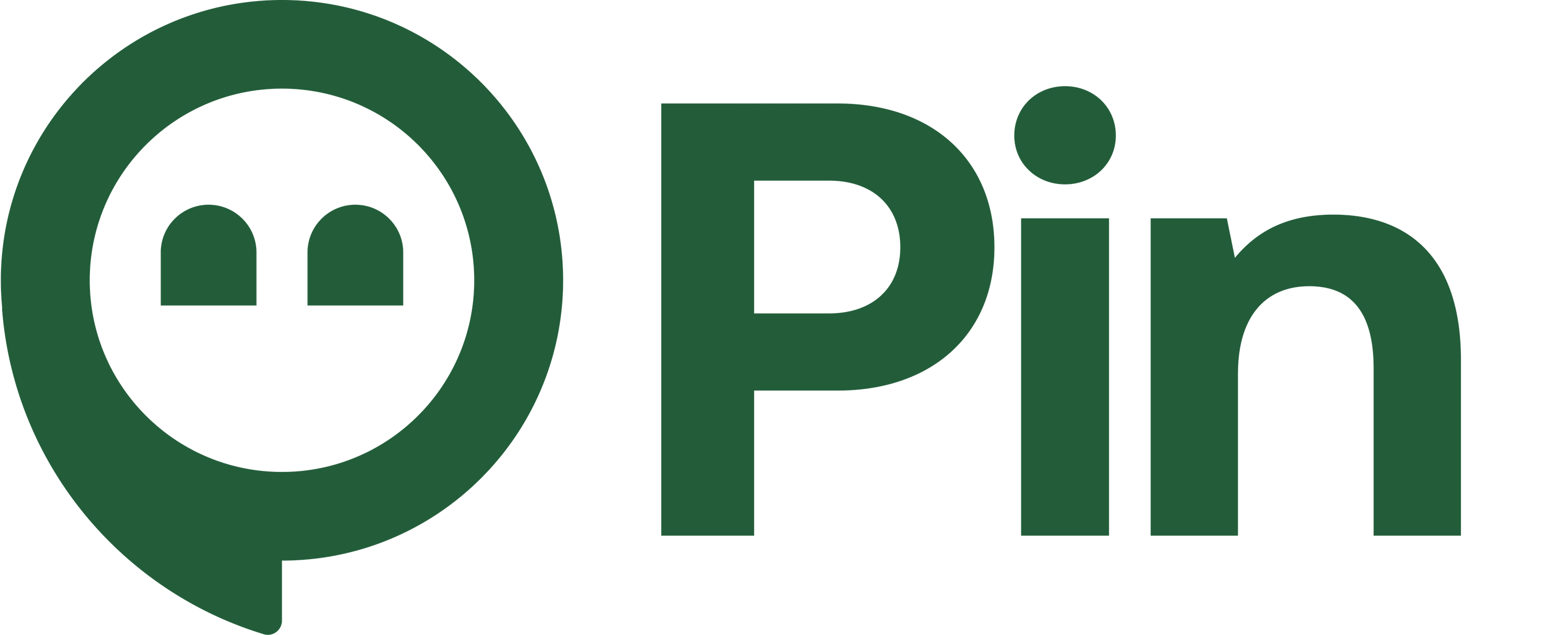 Pin