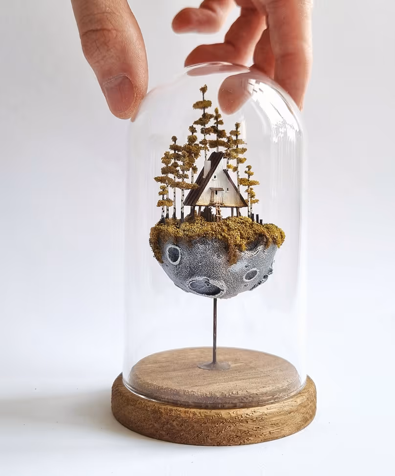 Collection of exclusive mixed media sculptures and art objects under glass by Michael  Davydov